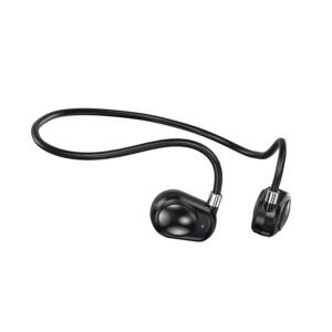 bex5 ows earphone (copy)