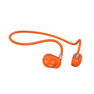 bex5 ows earphone (copy)